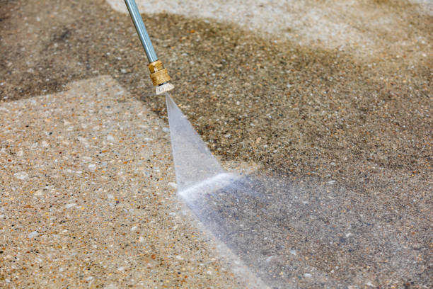 Best Sidewalk and Walkway Cleaning  in Kelseyville, CA