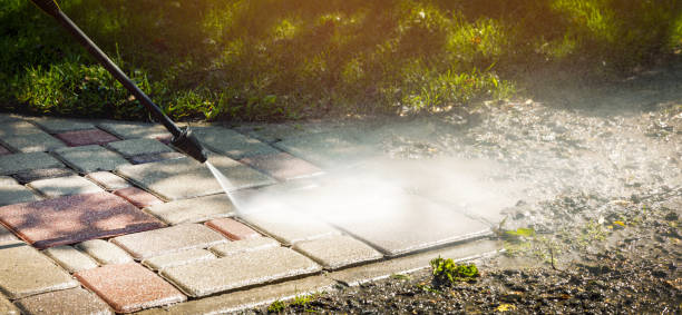 Best Soft Washing  in Kelseyville, CA